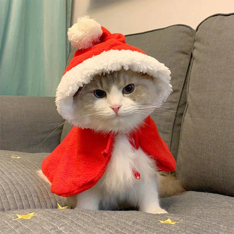 Cat Santa Cape