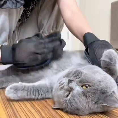 Grooming Glove